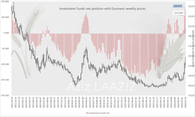 Blé Euronext : les fonds au plus haut depuis 2022
