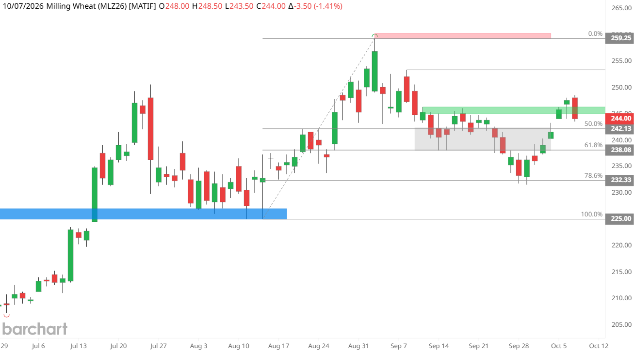 Euronext wheat: funds net long 177,228 lots as Black Sea risk rises